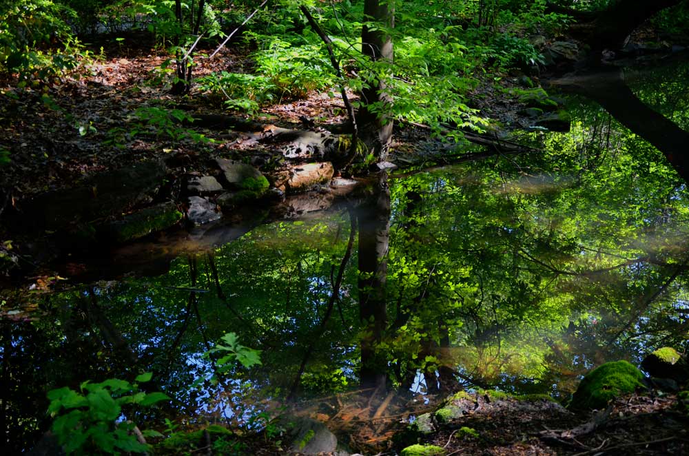 CPtwobanksreflection